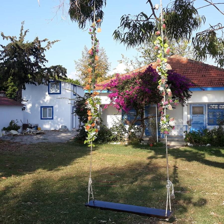 Okaliptus Butik Hotel Fethiye Extérieur photo