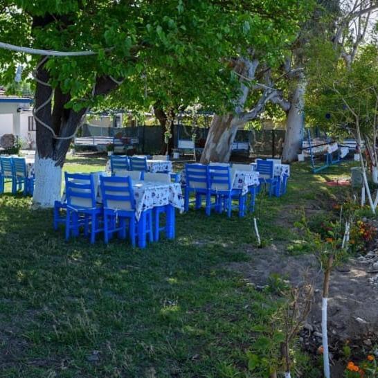 Okaliptus Butik Hotel Fethiye Extérieur photo