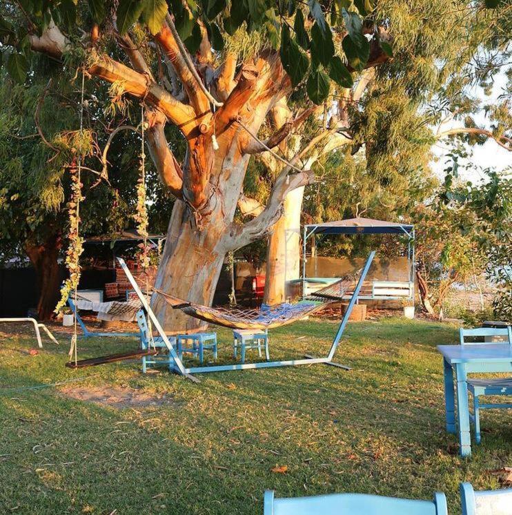 Okaliptus Butik Hotel Fethiye Extérieur photo