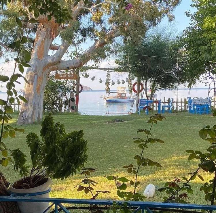 Okaliptus Butik Hotel Fethiye Extérieur photo