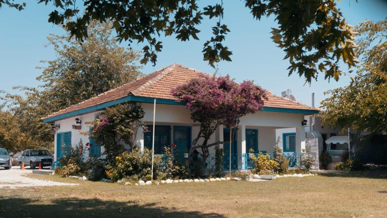 Okaliptus Butik Hotel Fethiye Extérieur photo
