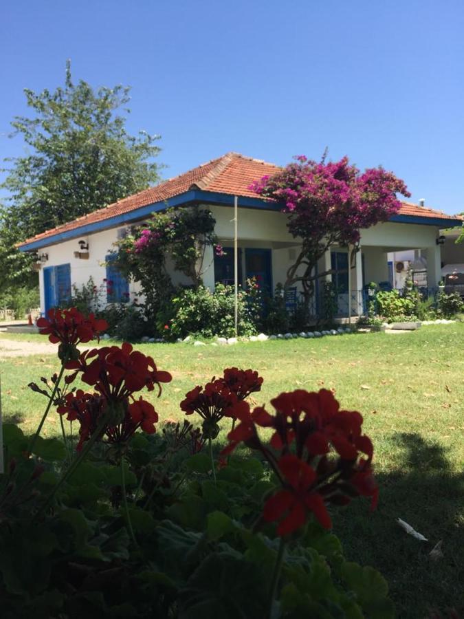 Okaliptus Butik Hotel Fethiye Extérieur photo